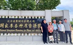 九游体育app-袠薪褑械褋裈hd